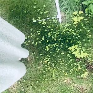 【🇲🇾AgroBuddy】High Pressure Air Pump Spray Head Nozzle Manual Air Pump Sprayer Adjustable Water Bottle Water Jet Home Garden Disinfectant Sanitizer Penyembur pam udara / Gun Penyembur Botol 气压式喷雾器