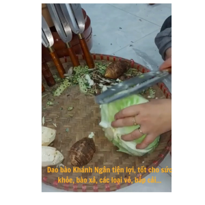 🥕 DAO BÀO RAU CỦ QUẢ THÉP NHẬT CHỐNG GỈ CAO CẤP – TIỆN LỢI CHO MỌI GIAN BẾP | KHÁNH NGÂN STORE