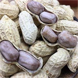 Flavored Peanuts Dried Shell Included Snack