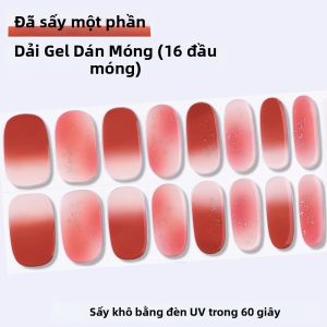 16 Miếng Dán Móng Tay Gel DIY Kiểu Tiên Nữ Thiết Kế Cổ Điển Phủ Toàn Bộ Làm Cứng Bằng Đèn UV LED Trong 60 Giây Để Làm Móng