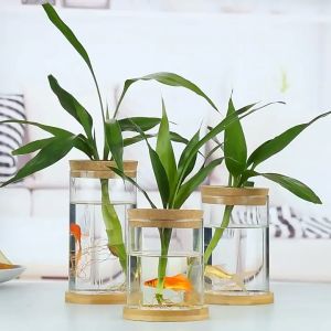 1PC Nordic Minimalist Transparent Hydroponic Plant Stylish Glass Bottle Wooden Office Home Bonsai Living Room Tabletop Decoration