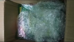Sabun Cuci Piring Sunlight Jeruk Nipis kemasan Refill 400ml 650ml 800ml 1500ml