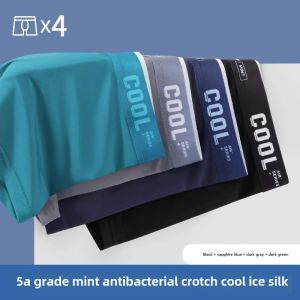 Antarctic People 2024 Ice Silk Mens Underwear Breathable Seamless Boxer Shorts Youth mid Waist Nylon Fabric U Design Home Clothes
