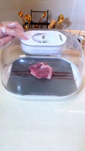 【8 hours delivery】4 in 1 Defroster Multi-Functional Thawer Fast Food Thawing Box USB Rechargeable UVC Sterilizat Fast Defrosting