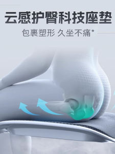 Ergonomically Designed Office Computer Chair by Bao You New Model 2025 Golden Hero E2/PRO Breathable Mesh Chair Back Support with Footrest