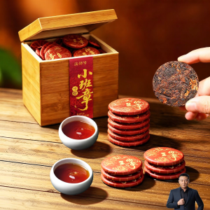 DIANPINHAO | Aged Ten Years Ancient Tree Puerh Ripe Tea Mini Cake
