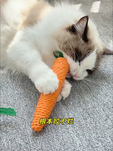 Pet Toy Carrot Cat Chew Toy Durable & Scratch-Resistant Dog Toy
