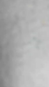 Palu Kambing Mini gg USA 8 oz Winson