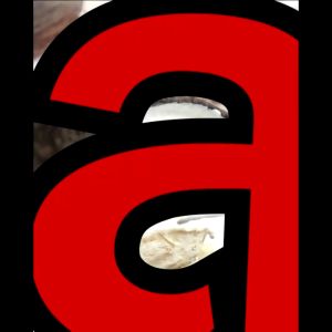 DOSE โดสเขียวบำรุงต้นยาง 1 ขวด ให้ผลผลิตสูงสุด เพิ่มน้ำยางแบบเร่งด่วน ส่งฟรีทั่วประเทศ