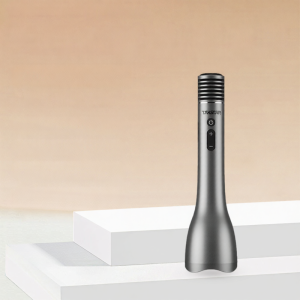 Handheld Wireless Bluetooth Speaker Mic Teacher Special Class Teaching Speech Karaoke Microphone DAS10S High Quality Sound System