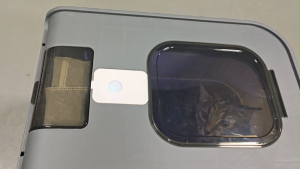 The Ultimate Guide to Oversized Fully Enclosed Drawer Type Cat Basins