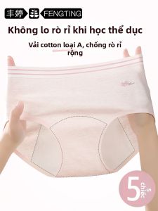 FENGTING | Quần Lót Kinh Nguyệt Chống Khuẩn Cotton cho Thiếu Nữ