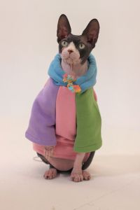 Fleece Lined Pet Sweatshirt for Cats And Small Dogs Warm Clothes for Hairless Breeds Such as Devon Rex Yorkies in Autumn Winter