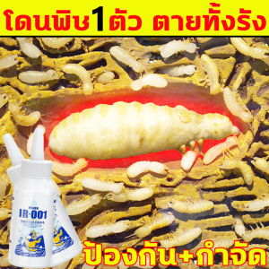 1คืนตายหมด ถูกที่ตาย 1ใช้ผ่านหมุน ยากำจัด ยากำจัดปลวก ผงกำจัดปลวก (ทั้งรังเต็ม 100% เป็นสารสกัด) ยาฆ่าปลวก ยกรัง กำจัดมดในบ้าน ยากำจัด ปลวกไม้ ยาปลวก เหยื่อกำจัดปลวก กำจัดปลวก ปลวก ยกรัง ยาฆ่าปลวก