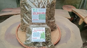 100g cây rau dệu sấy khô hữu cơ - TẶNG 50G CỎ NGỌT