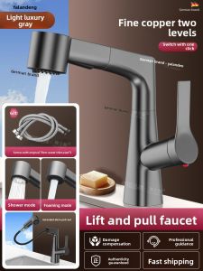 TAOSHI | Cold & Hot Dual-Use Pull-Out Faucet for Washbasin
