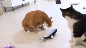 USB Charge Electric Flopping Moving Fish Toy Cat Kicker Floppy Wiggle Fish Motion Kitten Exercise Toy Interactive Cat Moving Toy