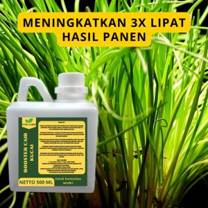 Pupuk Pelebat Kucai / Pupuk Sayur Kucai / Pupuk Booster Kucai / Pupuk Kucai