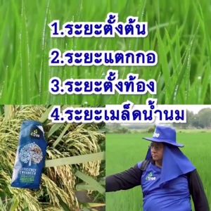 4Tree โฟร์ทรี (1 ซอง) สารเพิ่มประสิทธิภาพพืช อาหารเสริมพืช อินทรีย์ธรรมชาติ ใช้ได้ 15-20 ไร่ ใช้ได้กับพืชทุกชนิด ของแท้ 100%