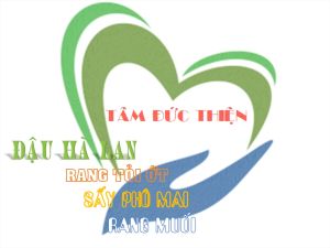 Đậu Hà Lan Tỏi Ớt Tâm Đức Thiện Loại Túi ZIP/ Hộp 500GR - Quý Khách Có Thể Tùy Chọn Số Lượng Thực Phẩm Đóng Gói Đóng Hộp Ăn Liền đồ ăn vặt Thực Phẩm Khô Đậu Hà Lan Muối Ớt Tỏi bánh kẹo quà Tết