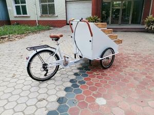 Moving Snack Bread Grocery Street Stall Cart Flower Display Car Toy Store Fruit Vending Tricycle