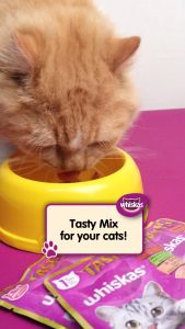 70g Whiskas Tasty Mix All Stages Adult Kitten Cat Cats Wet Food Pouch Pet Nutrition Balanced Meal