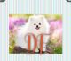 Pet Yêu