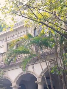 ชุดว่ายน้ําวันพีช ลายดอกสไตล์ 2 ด้าน มีฟองและซับใน ผ้าเนื้อดี ชุดว่ายน้ำผู้หญิงน่ารัก