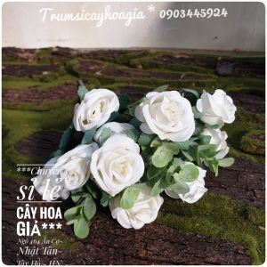 Cành hoa hồng tỉ muội cao cấphoa vảilá nhựa phủ bạc.Cao 32cm~11 bông.Hàng nhập.