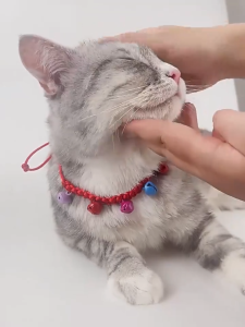 สร้อยคอสำหรับสัตว์เลี้ยง ไข่มุก✨ สายจูงสัตว์เลี้ยงรูปลักษณาน่ารัก 💖 เหมาะสำหรับแมวและสุนัขตัวเล็ก ✅ ปรับขนาดได้และป้องกันการหลุด 🎀 ข้อความขวัญวันเกิดสัตว์เลี้ยง