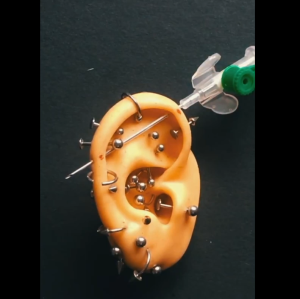 MODEL TELINGA SILIKON ALAT TINDIK TELINGA MANUSIA UNTUK LATIHAN 1:1 SILICON EAR MODEL PRACTICE PIERCING TOOLS