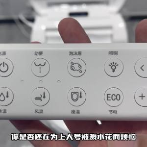 Bidet Toilet Seat Toilet Bowl Seat Cover Toilet Bidet Smart Toilet Seat Automatic Household Electric Instant Heating Type 马桶盖