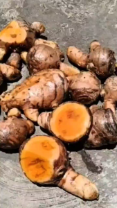 Temulawak Segar 1Kg – Baru Dipetik Langsung dari Kebun – Rempah Empon Empon Herbal Jamu Tradisional