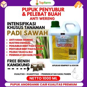 Pupuk Khusus Padi / Pupuk Pelebat Bulir Padi / Pupuk Penyubur Padi Sawah / Pupuk Padi Anti Hama Wereng / Pupuk Cair Untuk Padi / Pupuk Padi Sawah Terbaik / Pupuk Buat Padi / Pupuk Perbanyak Anakan Padi