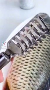 Dụng cụ đánh vảy cá inox cây cạo vảy cá inox đa năng