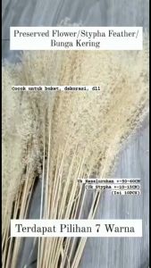 10 TANGKAI Preserved Flower / Stypha Feather/ Bunga Kering A013