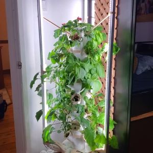 Modular Hydroponic Tower - 5 Plant Module