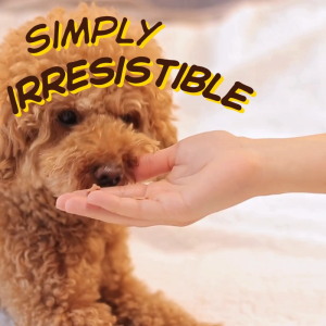 Naturally Small Pig Ear (50gm) for Dog