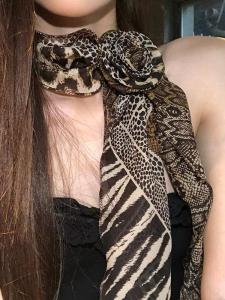 Khăn Choàng Lụa Hoa Hồng Họa Tiết Da Báo Phong Cách Mỹ Cổ Điển Dành Cho Nữ Mùa Xuân Thu Mỏng Đa Năng Thiết Kế Nhỏ