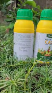 [Freeship Max] Phân bón lá HOPTRI CASI cung cấp trung lượng giúp cứng cây đứng lá chai 500ml_VTNN TIEN KHOA