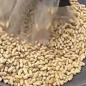 Roasted Peanuts Shell-on Sand-Roasted