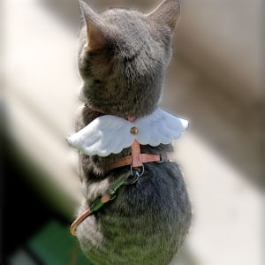 Cat Pulling Rope Anti-Lost Adjustable Cat Walking Rope Wings Kittens for Outing Chest Strap Pet Dog Supplies