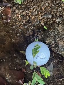 Pemetik Bola Golf Tiga Cakar: Alat Mengambil Bola Golf yang Praktis