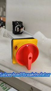 SALZER LOAD BREAK ISOLATOR WITH PADLOCK HANDLE 63A W/O BOX (LB26331309MB34)