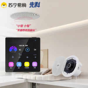 SAST | SAST G7 Smart AI Ceiling Speaker Wireless Bluetooth Home Cinema Background Music Speaker for Living Room with TF Card Connection