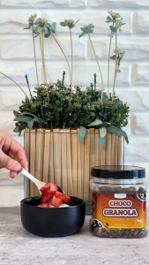Purehub® Choco Granola in a Jar
