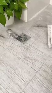 ชุดแผ่นกาว ที่ปิดท่อ สติ๊กเกอร์ตาข่ายกรองท่อระบายน้ำ แบบใช้แล้วทิ้ง ดักเศษผม ท่อไม่ตัน กันแมลง สําหรับห้องครัวห้องน้ํา 8100