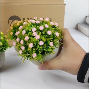 Tanaman Hias Pot Bunga Plastik Rumput Soka Bulat PBP197