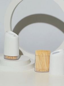 Slide Toothpick Box Minimalist Toothpick Can Portable Toothpick Bottle With 300 Toothpicks