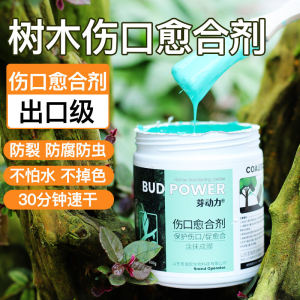 Plant Tree Fruit Tree Wound Healing Agent Bonsai Branch Pruning Tree Pile Bark Grafting Incision Repair Smear Cream